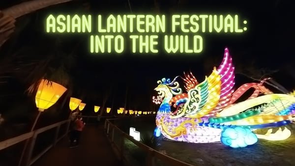 Illuminating the Night: A Mesmerizing Journey through the Asian Lantern Festival at Central Florida Zoo